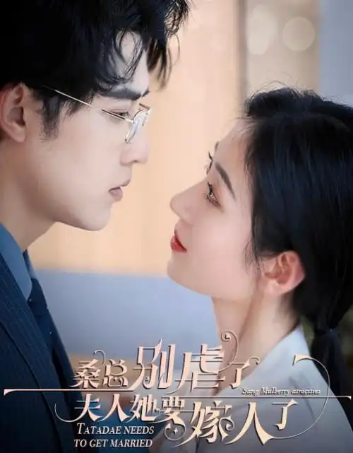 云上法庭社会剧情电视剧在线看